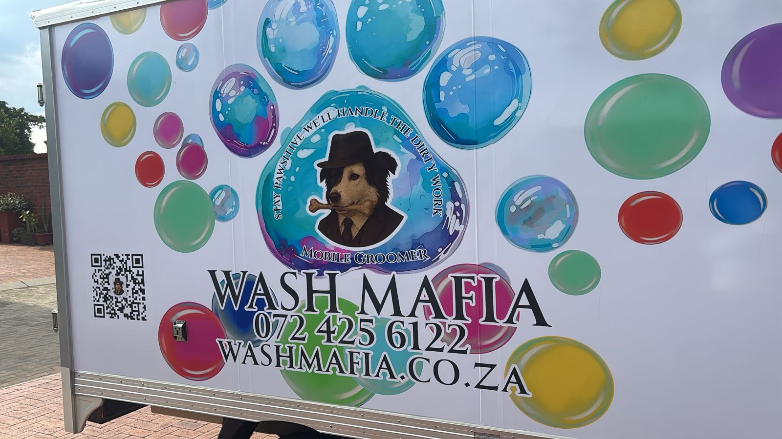 A happy dog after grooming